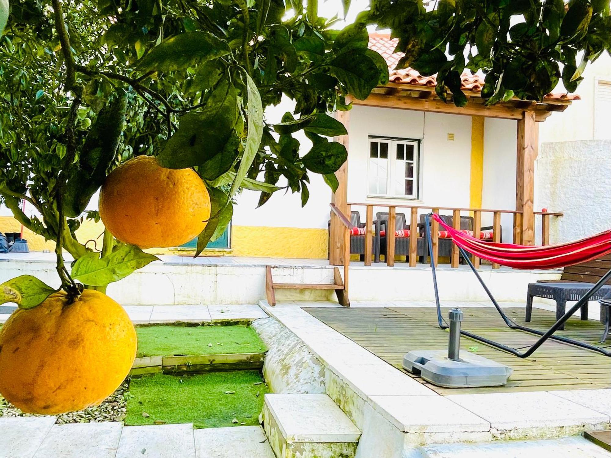 Casa Da Laranjeira Villa Vale Covo  Eksteriør billede
